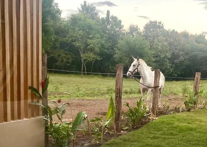 Ferienhaus Kaliah Luz W Pool, Horses & Nearby
