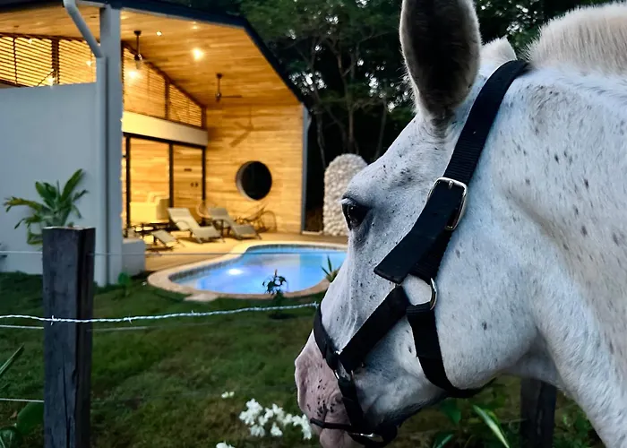 Ferienhaus Kaliah Luz W Pool, Horses & Nearby *